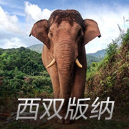 奇异果体育手机版